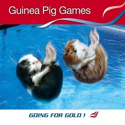 2013 Calendar ~ Calender ~ GUINEA PIG GAMES~ Pictorial ~ Going for 