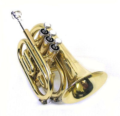 Musical Instruments & Gear  Brass  Trumpet & Cornet  Pocket Trumpet 