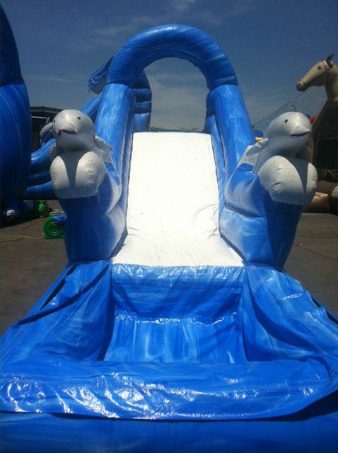 Dolphin Material Water Slide inflatable Wet/Dry Jumper Back loader 