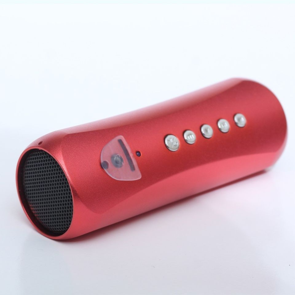 Motorcycle&Bicycle Sport  Fm Music Player Mini Speaker Dual Speaker 