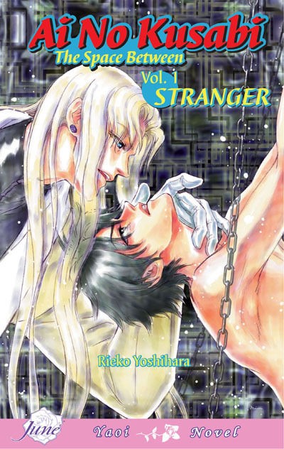 Ai No Kusabi Vol. 1 by Rieko Yoshihara Yaoi Novel