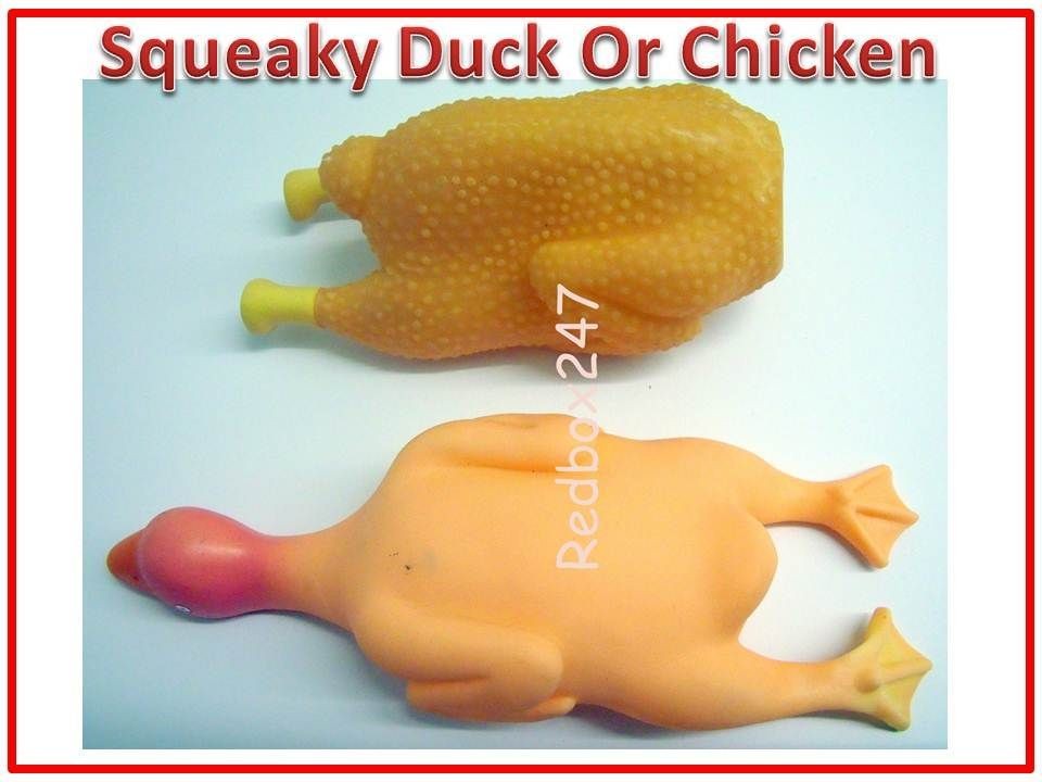 SQUEAKY DOG TOY CHICKEN & DUCK Rubber Toys Labrador Collie Spaniel 