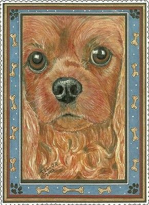 Beautiful Ruby Cavalier King Charles Spaniel, blank note card