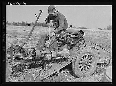 On a tractor drawn potato digger on a farm near Caribou,Maine