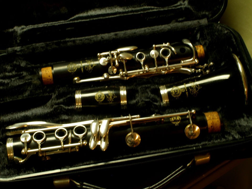   Selmer Paris Recital Bb Professional Clarinet Mint With Selmer Case