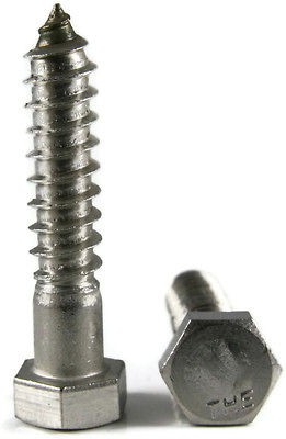 Stainless Steel Lag Screw Bolt 5/16 x 3 25/PCS