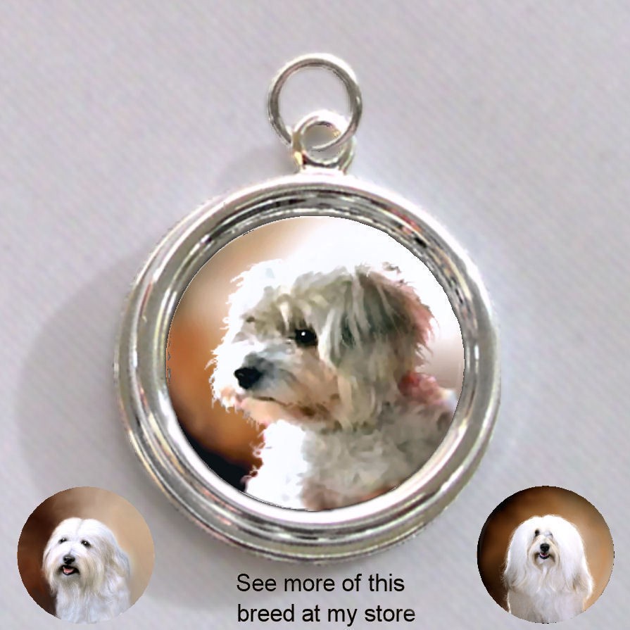 Havanese   Maltese DOG Cute   Silver CHARM   PENDANT