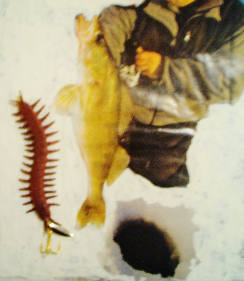 ICE FISHING & SUMMER CASTING LAKOTA BROWN CENTIPEDE 4 1/2 ALL GAME 