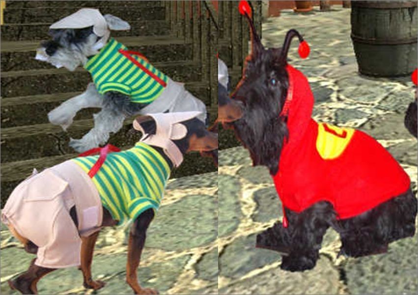 CHESPIRITO CHA​PULIN COLORADO EL CHAVO DEL ocho 8_ COSTUMES FOR DOG 