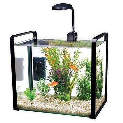 gallon aquarium in Aquariums