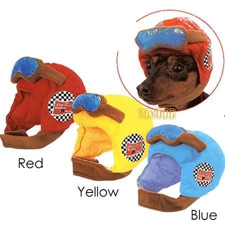 hats for dogs in Dog Supplies