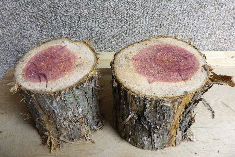 Set of 2 Aromatic Red Cedar Wild Live Edge Small Log 9848 2