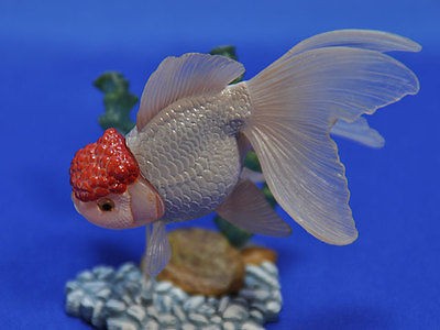 yujin capsule gold fish part 1 Rescheduled Added ver  Redcap oranda 