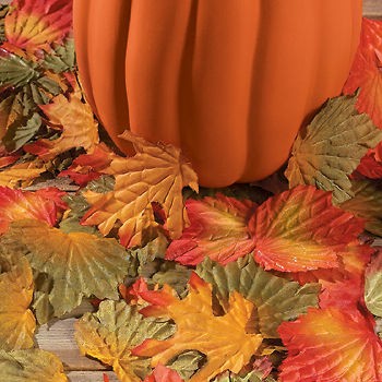 1000 Fall Leaves Wedding Decorations Maple Leaf Decorations