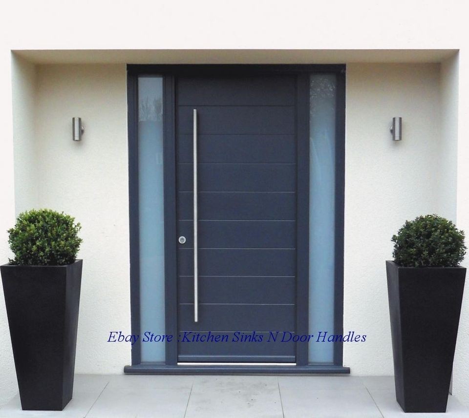 steel entry doors in Doors