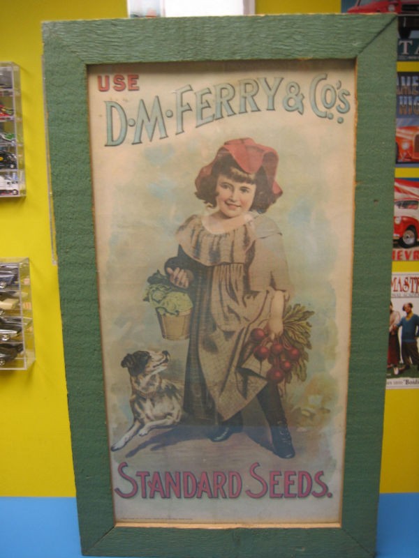 FERRY & CO. USE STANDARD SEEDS PICTURES USED