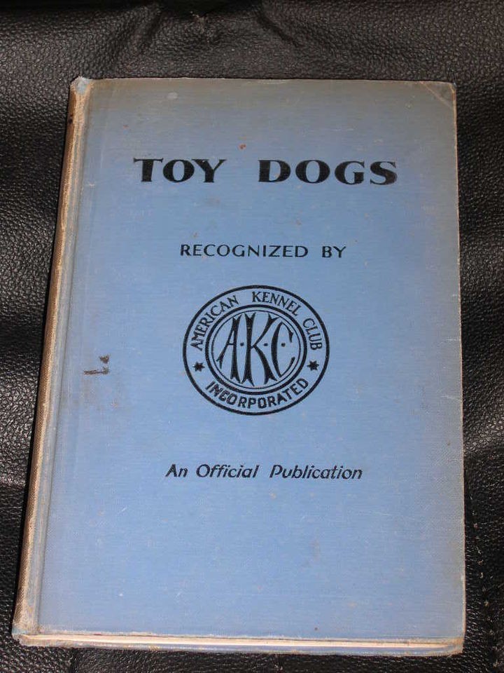 akc dog toys in Toys & Chews