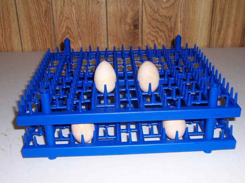 Pheasant Eggs in Business & Industrial