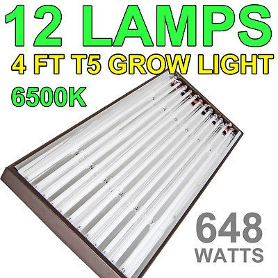 t5 grow light in Grow Lights