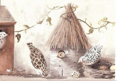 Wallpaper Border Animal Print Birds & Birdhouses Taupe