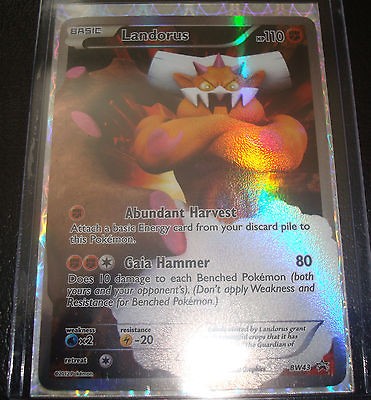 pokemon card landorus