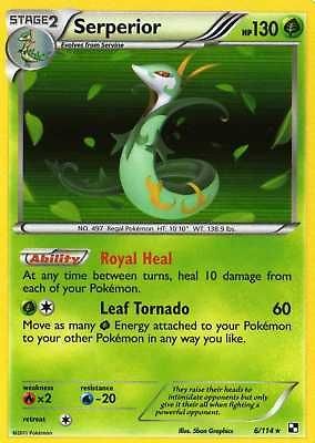 SERPERIOR 6/114 POKEMON Card BLACK & WHITE HOLO 130 HP