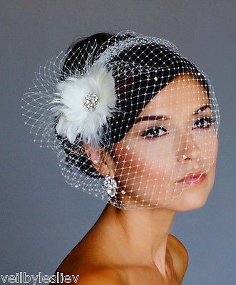 wedding birdcage veil in Veils