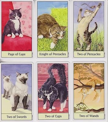 THE CATS EYE TAROT  FORTUNE TELLING PLAYING CARDS