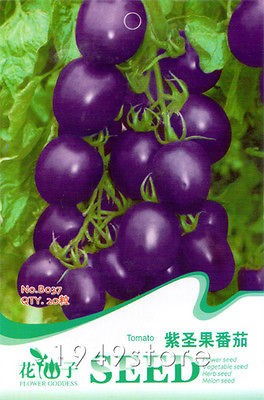 Bag 20 seeds Purple Tomato Seed Pack Vegetable B037