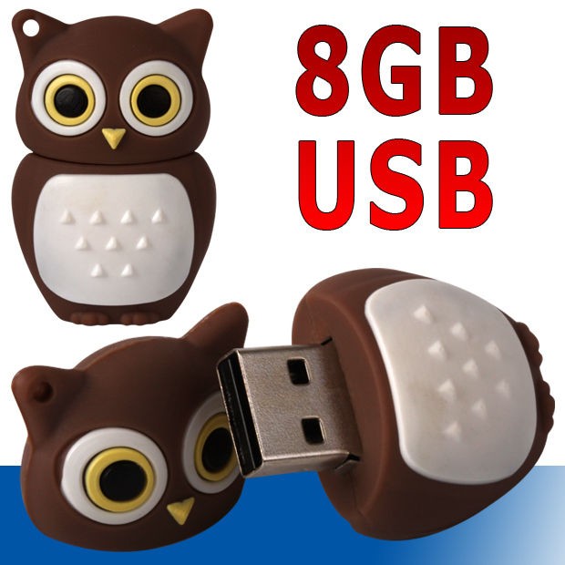 gig flash drive in Drives, Storage & Blank Media