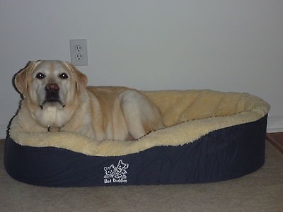 extra large dog beds in Beds