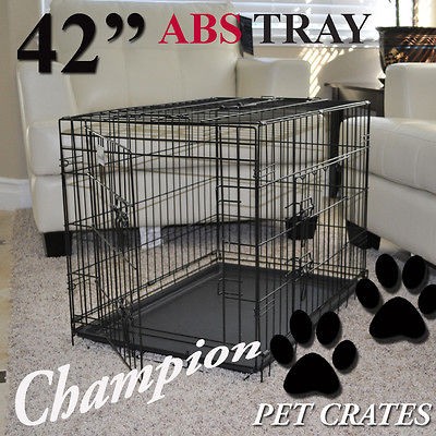 dog crate