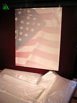 Poly Bags Sleeves Posters Newspapers Prints 20x30 25ct