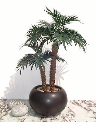 Kurrajong Palm   22 (55cm)   Artificial Silk Plant, Faux Imitation 