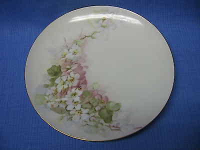 Antique Titanic Austria Floral Plate   Beautiful, Collectable