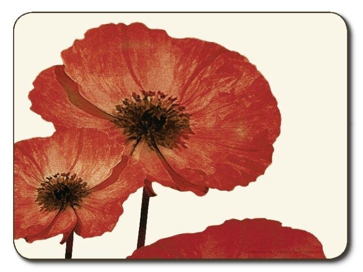   POPPY RED FLORAL DINING KITCHEN CORK BACKED PLACEMAT & COASTER SET