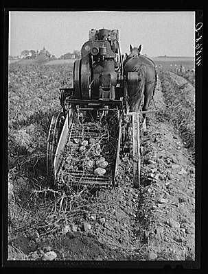 potato diggers