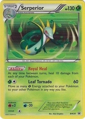 SERPERIOR Holo Pokemon Rare Card Black White Promo Black Star BW20