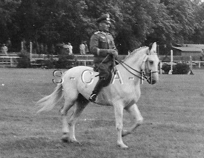 WWII Ger Large RP  Army Officer  Saddle  Stirrups  Arm Cuff 