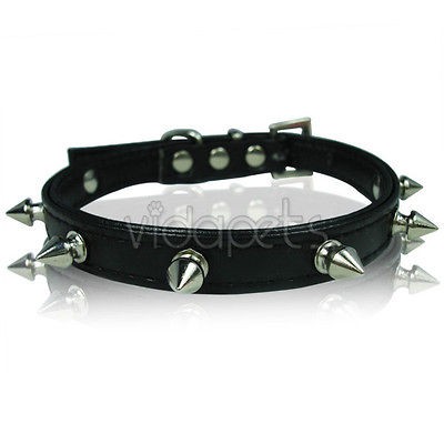 spiked dog collar in Spiked & Studded Collars