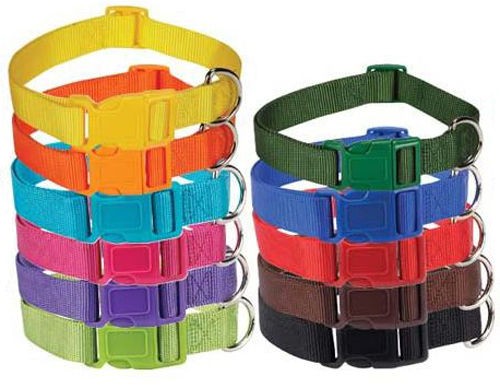 Pet Supplies  Dog Supplies  Collars & Tags  Nylon Collars