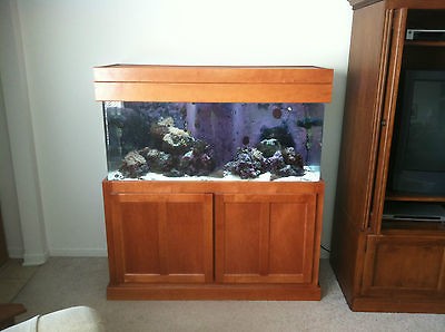 70 gallon fish tank with lights, pumps and nice cabinet