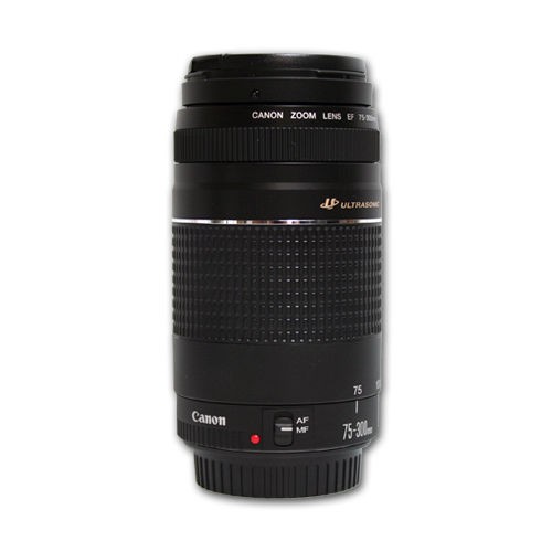 Canon in Cameras & Photo  Lenses & Filters  Lenses