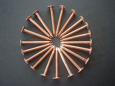 20 Copper Nails Tree Stump Killer Nails Ideal Solid Copper Pack of 20