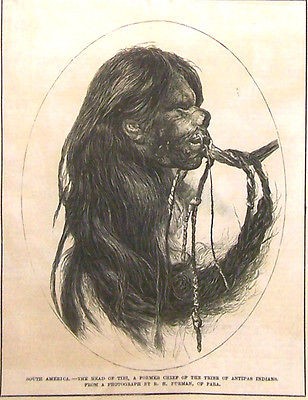 MUSEUM QUALITY SHRUNKEN HEAD, TSANTSA, JAVARO, SHUAR, HAUNTED 