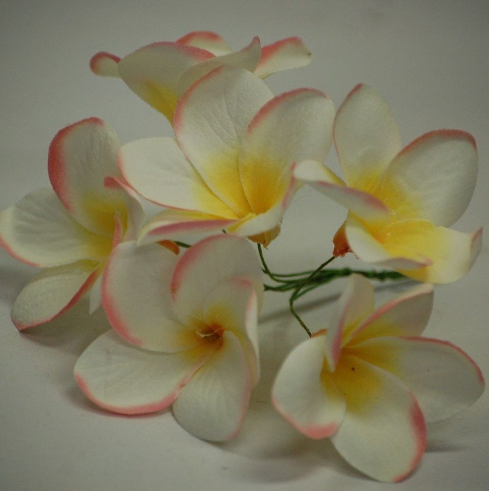   FRANGIPANI SMALL HEADS WHITE LIGHT PINK WEDDING FLOWER SCATTERS
