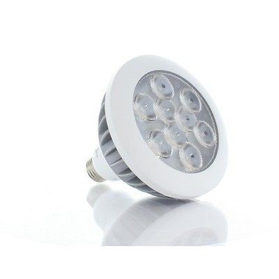 Collection LED 17W Warm White LED PAR38 Bulb LP38B1 W