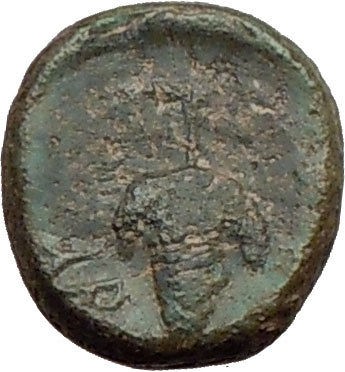 Corcyra Epirus 350BC Bull & Grapes Rare Genuine Authentic Ancient 