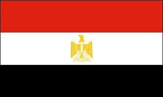 Egypt Flag Egyptian Banner Country Pennant 3x5 Indoor Outdoor New