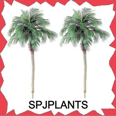   foot PHOENIX PALM TREES Silk Plant Jungl fake date areca bamboo